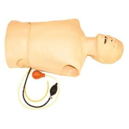 LAERDAL AT Kelly Torso 260-00001